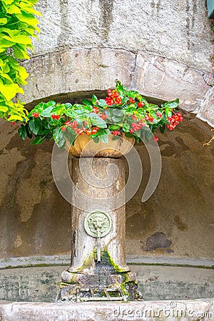 Old Fontaine whit Plants in the Castle of Foix, Cathar country, Ariege, Midi pyrenees, France Stock Photo