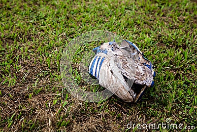 Old football boot rots on grass Editorial Stock Photo