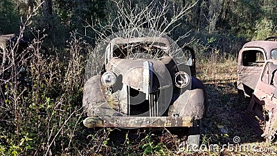 Old Ford Truck Rust Graveyard Editorial Stock Photo