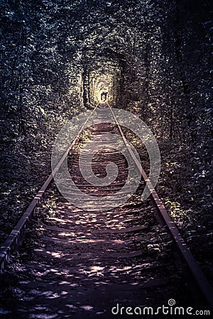 Old forest and railway tunel of love Stock Photo