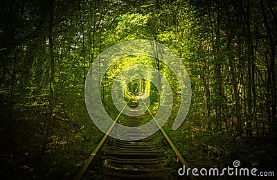 Old forest and railway tunel of love Stock Photo