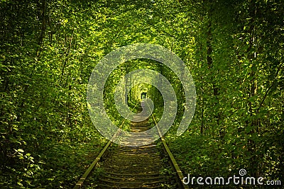 Old forest and railway tunel of love Stock Photo