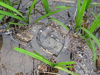 Old forgotten cassette tape on water Iran, Gilan, Rasht Stock Photo