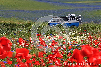 Old german vintage campervan cruising trough beautiful poppy field, Poland Stock Photo