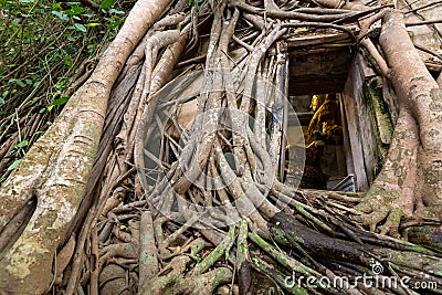 Old golden buddha statue in church,ancient temple of Wat Bang Kung,outside is covered with large tree roots,banyan tree,travel in Stock Photo