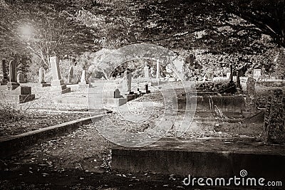 Old graveyard broken graves and headstones under trees with sun flare Stock Photo