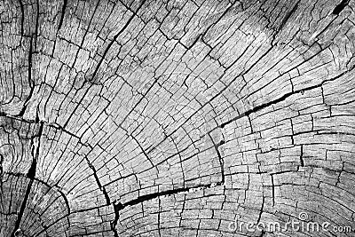 Old gray cracked wood texture background. Stock Photo