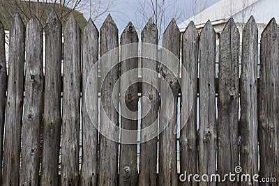 Old gray fence of sharp logs in the palisade Stock Photo