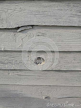 Old gray wooden fence texture background. natural wooden dark empty room with messy and grungy crack beech Stock Photo