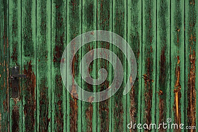 Old green entrance gate Stock Photo