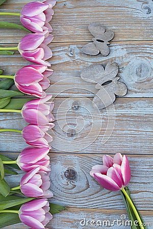 Old grey blue wooden background with pink white tulips border in a row and empty copy space with wooden spring summer butterflies Stock Photo