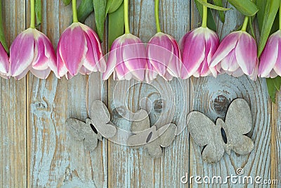 Old grey blue wooden background with pink white tulips border in a row and empty copy space with wooden spring summer butterflies Stock Photo