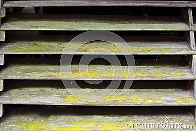 Old and grunge wooden louvers Stock Photo