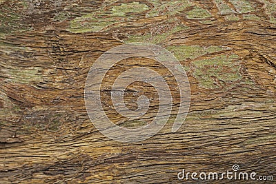 Old grungy wooden surface texture. Warm brown timber texture macro photo. Natural wood background. Stock Photo