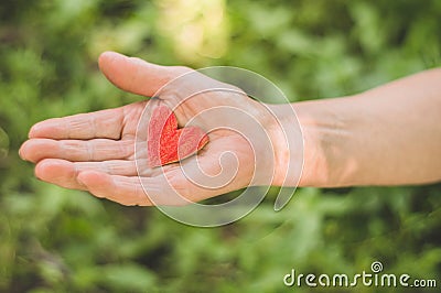 Old hand grandmother hold heart. Concept idea of love family protecting elderly people grandmother friendship togetherness Stock Photo