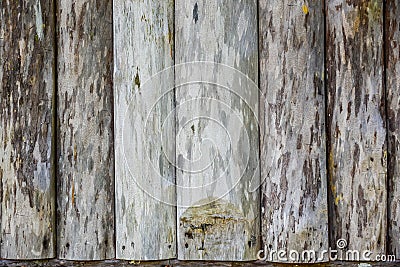 Old hardwood planks closeup Stock Photo