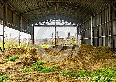 Old hay storage. Abandoned collective farm. Stock Photo