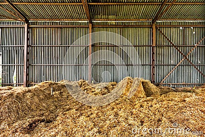 Old hay storage. Abandoned collective farm. Stock Photo