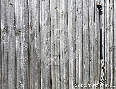 The Old hayfork on wood background, fork of farmers hoeing weeds Stock Photo