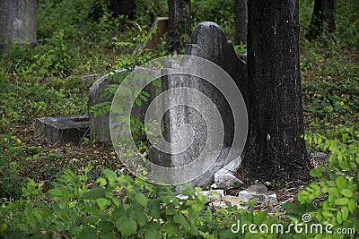 Abandoned cemetery from the 1800s Stock Photo