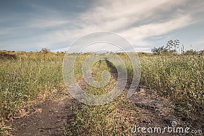 Old Hiking Trail Golan Heights landscape Israel Stock Photo