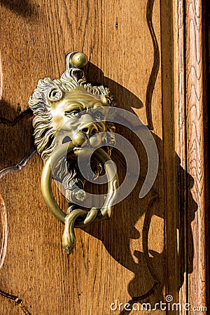 Vintage door knocker - lion head with snake Stock Photo