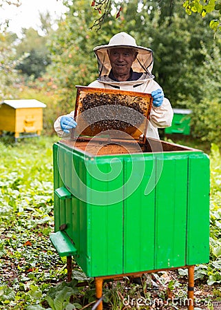 Old hiver in protective suit with hive frame Stock Photo