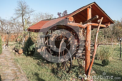 Old horse cart decorated with onion ropes in a garden Stock Photo