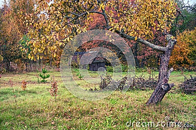 Old house in autumn grove Stock Photo