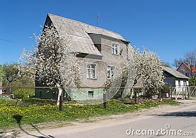 Old house of the German construction with the blossoming apple-trees. Kaliningrad Stock Photo