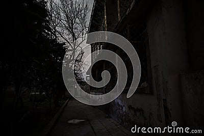 Old house with a Ghost in the forest at night or Abandoned Haunted Horror House. Old mystic building in dead tree forest. Surreal Stock Photo