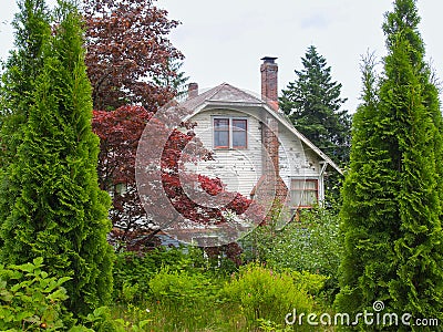 Old house in need of repaint surrounded by trees and overgrown garden Stock Photo