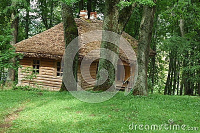 Old house with straw roof in the dense forest Stock Photo