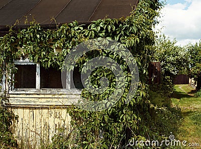 old house window green bush summer village pathway Stock Photo