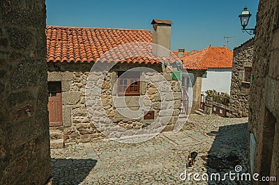 Old houses and dog on cobblestone alley on slope Stock Photo
