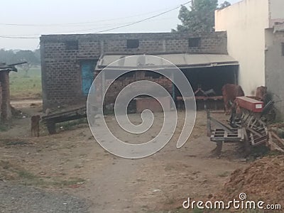 Old indian village home , having old wooden cart, two cows, ploughing instruments. Stock Photo