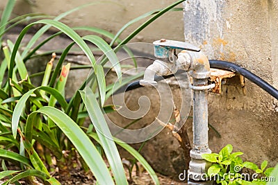 Old iron faucet in the park Stock Photo