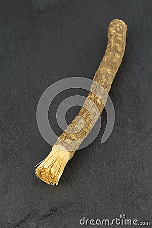 Old islamic traditional natural toothbrush Miswak or Siwak. (Salvadora persica)on black background Stock Photo