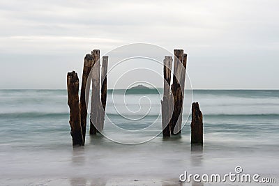 Old jetty piles at St. Clair Beach Stock Photo