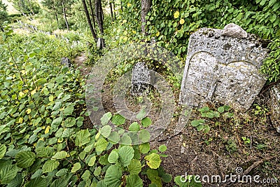Old Jewish cementery Editorial Stock Photo