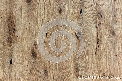 Old knotty wood texture Stock Photo