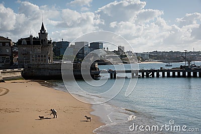 Old lady walking dogs on the beach Editorial Stock Photo