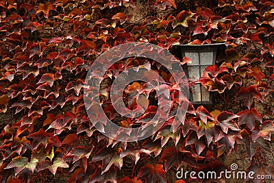 old lamp surrounded by red leaves during autumn season at Novacella Abbey near Bolzano, Italy. Stock Photo