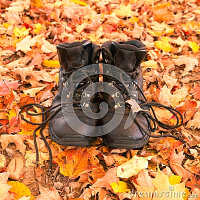 Old leather hiking boots on fall leaves background Stock Photo