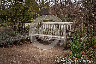 Old lone wooden bench at park on cold autumn evening Stock Photo