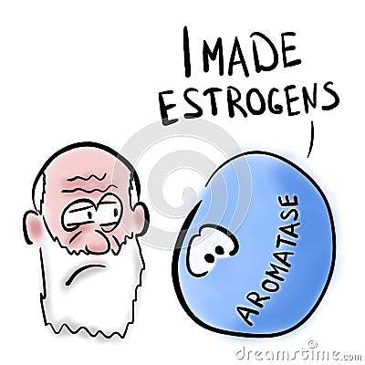 Old man aromatase and estrogens Stock Photo