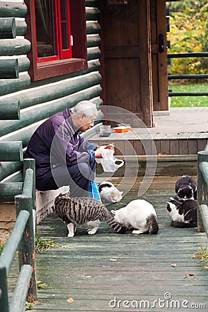 Old man feeding the stray cats in the park Editorial Stock Photo