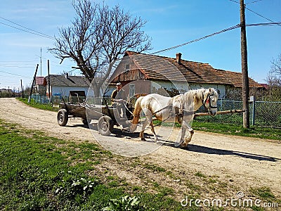 Drohobych, Ukraine - April 14, 2018: Old man going by retro wooden cart on the dirt road, white horse pulls a cart, village life Editorial Stock Photo