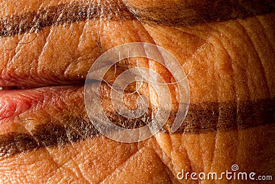 Old man from the indigenous group of Santo Domingo Editorial Stock Photo