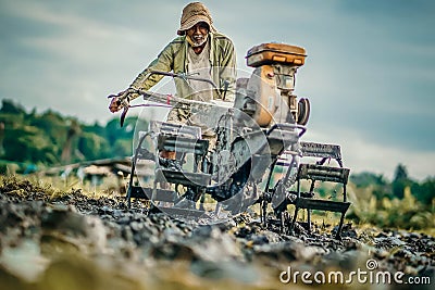 Old man operate tractor at ricefield in canggu badung bali Editorial Stock Photo